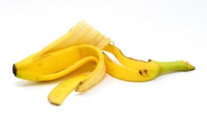 Bucce di banana vicino a rose fiorite, metodo naturale per potenziare la fioritura.