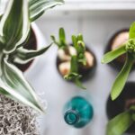 Bottiglia rovesciata nel terreno per innaffiare piante durante le vacanze.