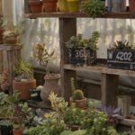 Orto sinergico in spazi ridotti con piante disposte in modo strategico e attrezzi da giardinaggio.