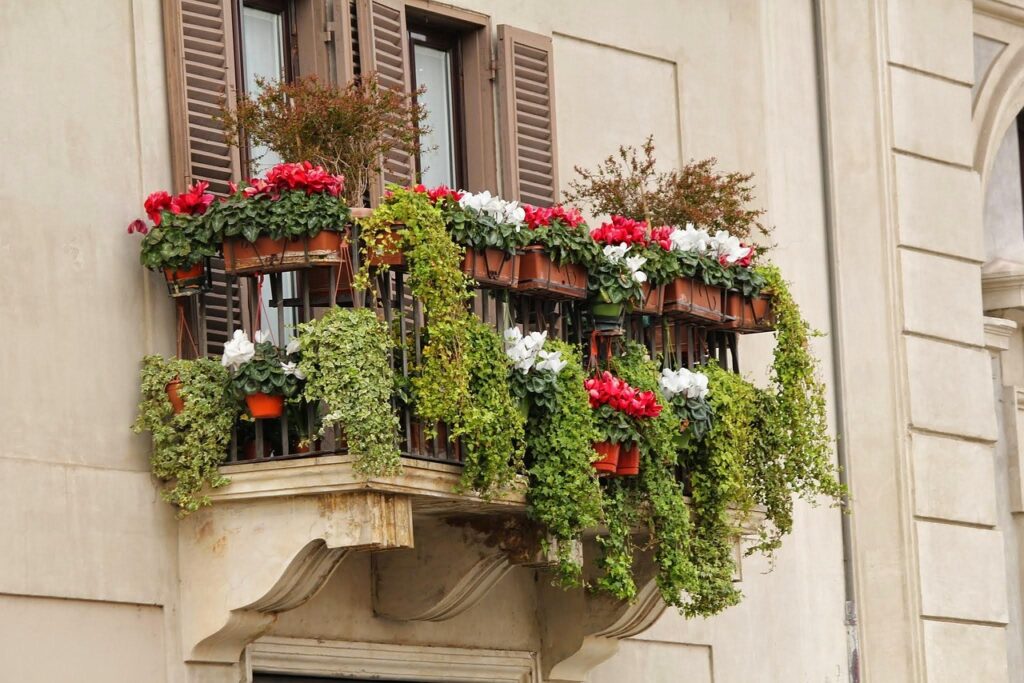 5 piante da balcone che resistono al caldo di luglio senza annaffiature quotidiane
