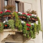 Balcone fiorito con piante di fiori rossi in primavera, consigli del fioraio.
