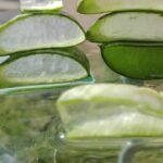 Immagine di una foglia di aloe vera con gel estratto, pronta per l'uso.