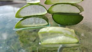 Immagine di una foglia di aloe vera con gel estratto, pronta per l'uso.