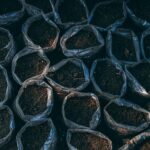 Immagine di concimi tossici e inappropriati per l'orto, evidenziando prodotti da evitare.