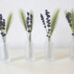 Talea di lavanda in acqua, pronta per radicare in 10 giorni, con foglie verdi e stelo robusto.