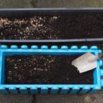 Terriccio esausto in vaso con ingredienti per la rigenerazione, come compost e acqua.