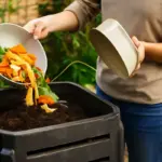 Come usare il compostaggio domestico: riduci i rifiuti e ottieni humus ricco senza sforzi inutili