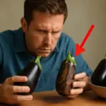 Come riconoscere carenze di potassio nelle melanzane? Sintomi visivi che hai probabilmente trascurato