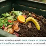 Residui sani dell’orto a fine stagione: quando possono entrare nel compost e quando è meglio separarli
