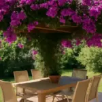 Bouganville in vaso: come scegliere un posto riparato quando le notti diventano più fresche
