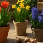 Bulbi primaverili in vaso: come disporli senza sovrapporli e scegliere un contenitore adatto