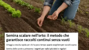 Orto in ottobre: perché il calendario di semina va adattato a temperatura e zona invece di seguire una data unica